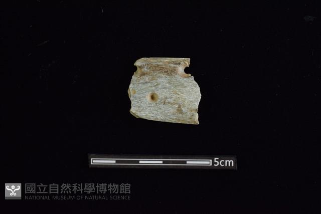 石刀藏品圖，第1張