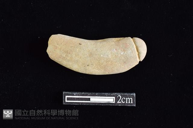 網墜藏品圖，第1張