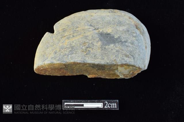 網墜藏品圖，第1張