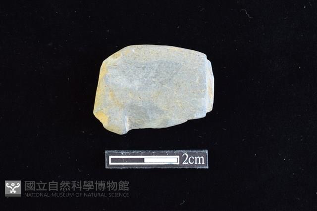 網墜藏品圖，第1張