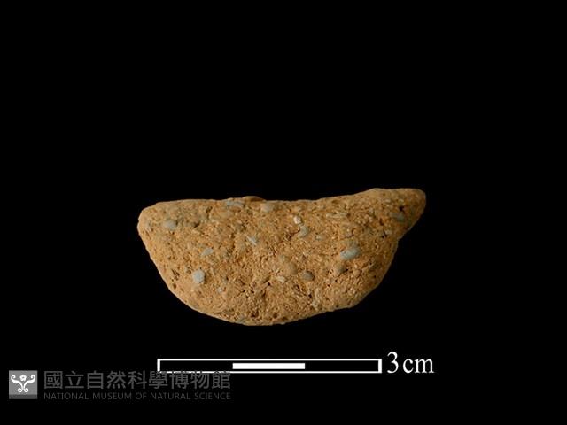 陶耳藏品圖，第1張