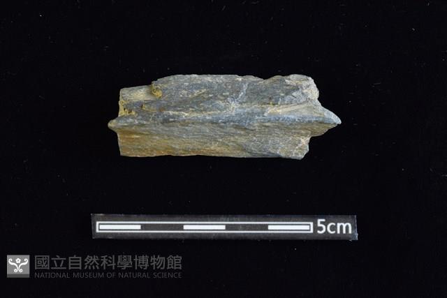 石材藏品圖，第1張