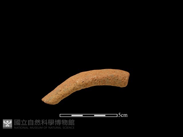 陶把藏品圖，第1張