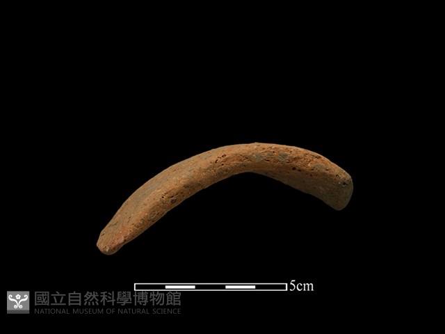 陶把藏品圖，第1張