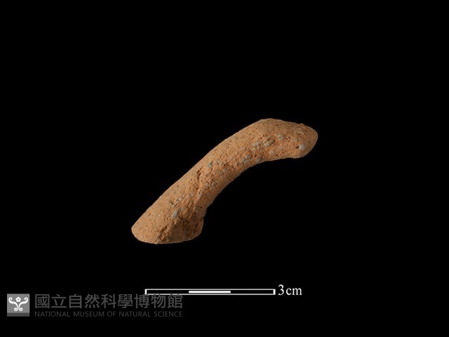 陶把藏品圖，第1張