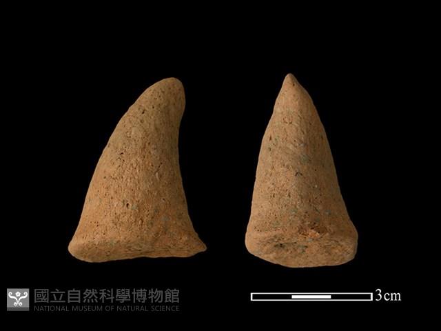 陶蓋鈕藏品圖，第1張