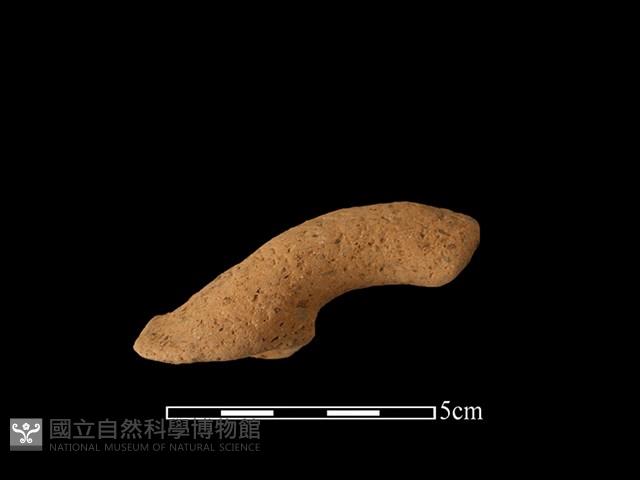 陶把藏品圖，第1張