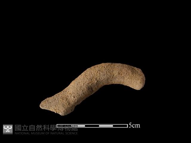 陶把藏品圖，第1張