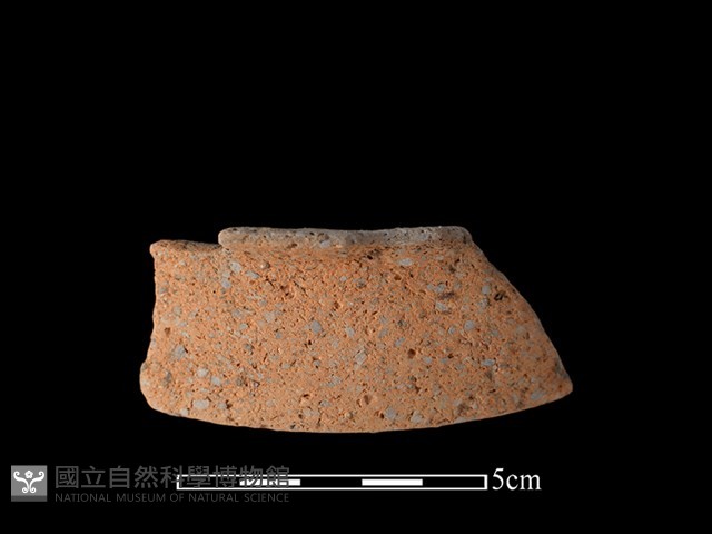 陶片藏品圖，第1張