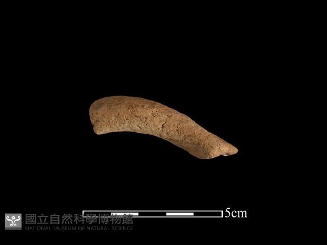 陶把藏品圖，第1張