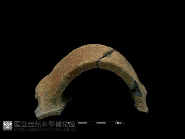 陶把藏品圖，第1張