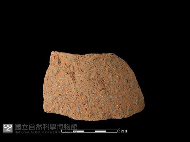 陶片藏品圖，第1張