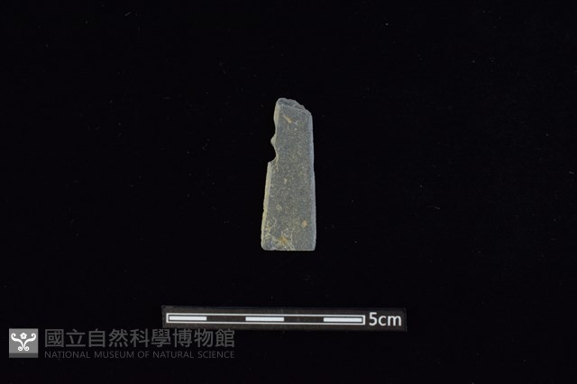 矛鏃形器藏品圖，第1張