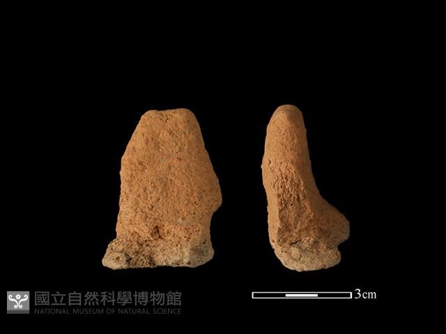 陶蓋鈕藏品圖，第1張