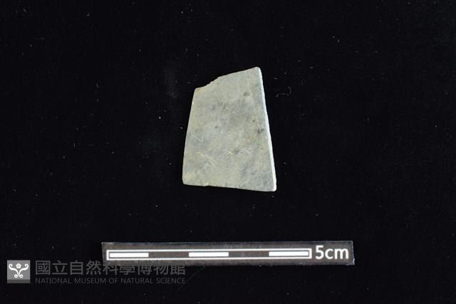 矛鏃形器藏品圖，第1張