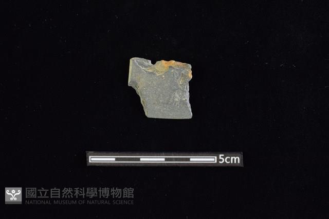 Accession Number:AA2019032953 Collection Image, Figure 1, Total 2 Figures