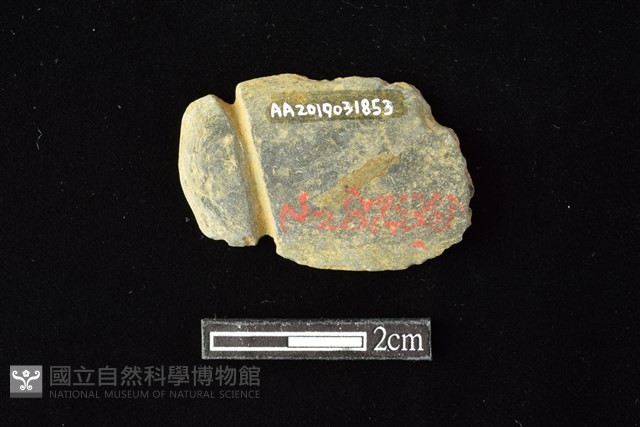 網墜藏品圖，第1張