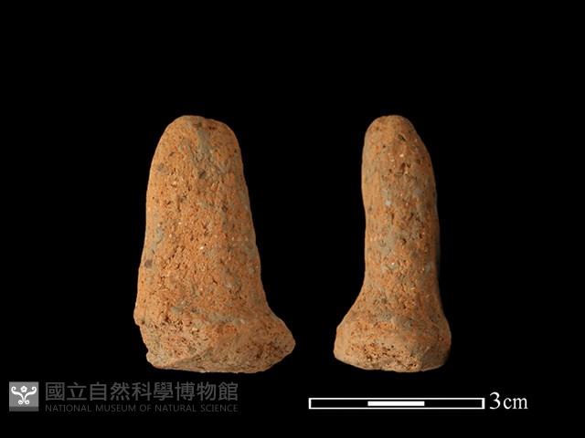 陶蓋鈕藏品圖，第1張