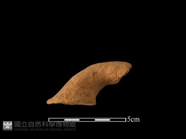 陶把藏品圖，第1張