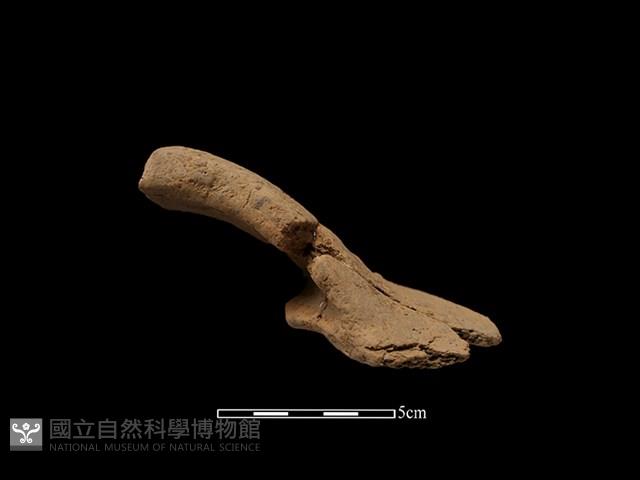 陶把藏品圖，第1張