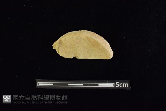 石圓片藏品圖，第1張