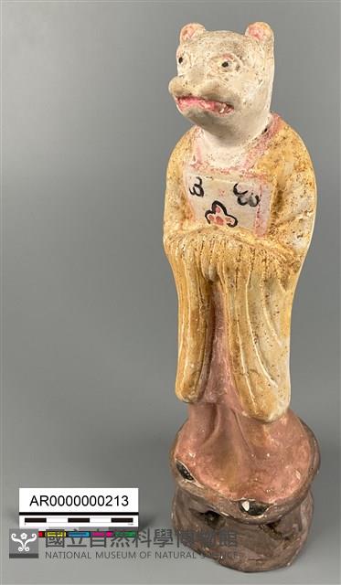 加彩虎甬藏品圖，第1張