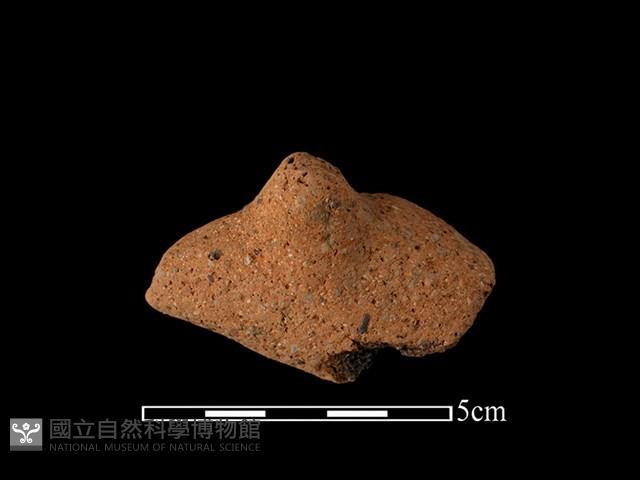 陶耳藏品圖，第1張