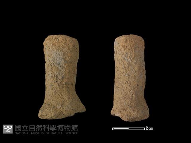 陶蓋鈕藏品圖，第1張