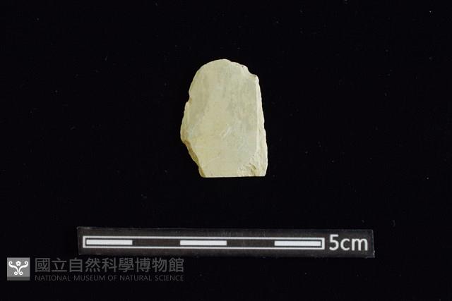 矛鏃形器藏品圖，第1張