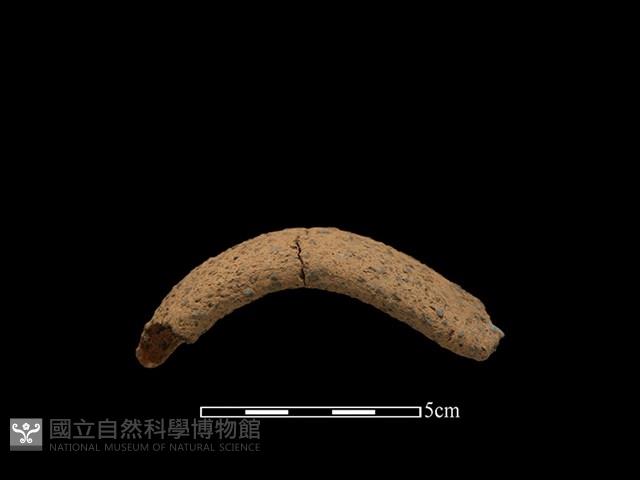 陶把藏品圖，第1張