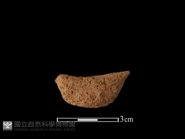 陶耳藏品圖，第1張