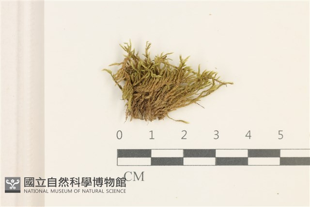 登錄號:B00014632藏品圖，第1張