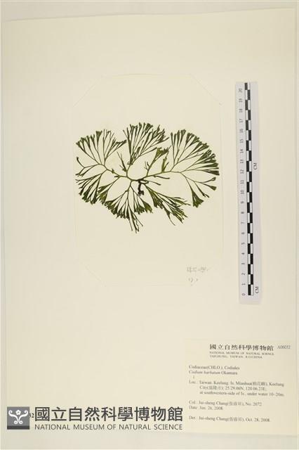 登錄號:A00006032藏品圖，第3張