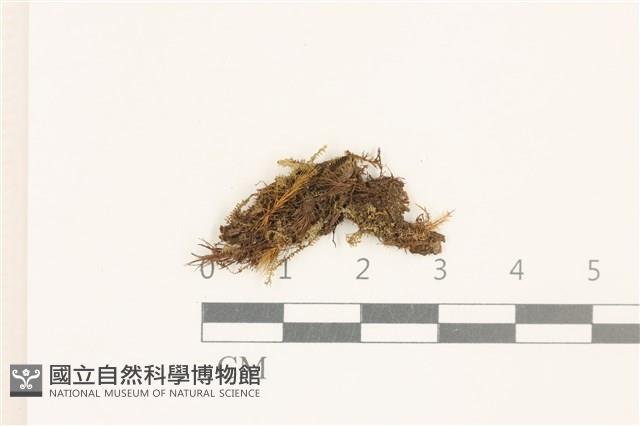 登錄號:B00019532藏品圖，第1張