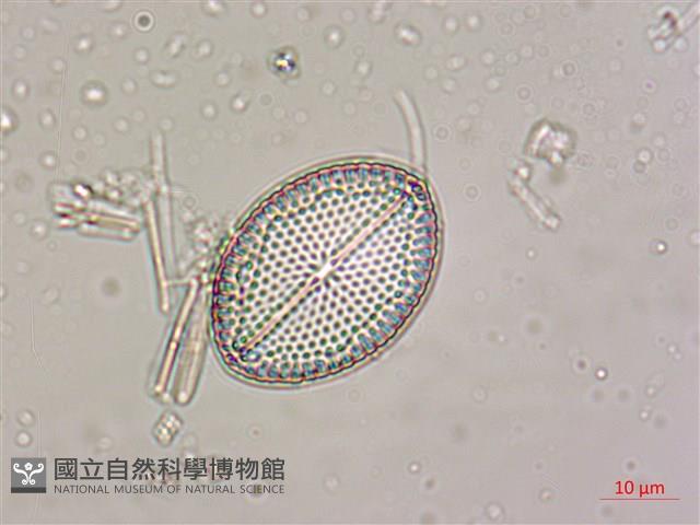 登錄號:A00004532藏品圖，第3張