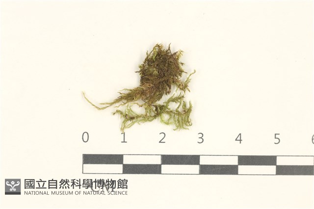 登錄號:B00015532藏品圖，第1張
