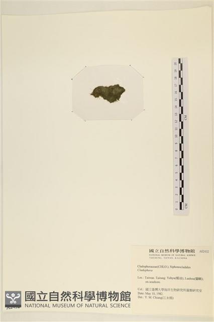 登錄號:A00002432藏品圖，第3張