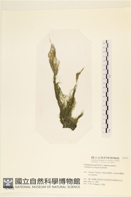 登錄號:A00003432藏品圖，第1張