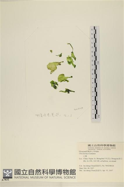 登錄號:A00007832藏品圖，第1張