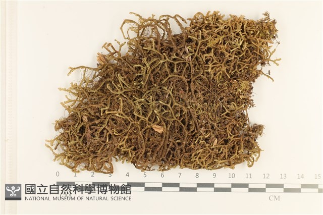 登錄號:B00002332藏品圖，第1張