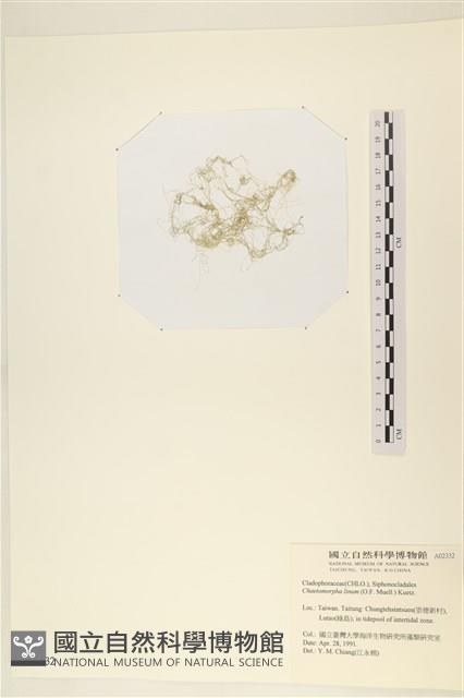 登錄號:A00002332藏品圖，第1張