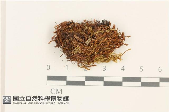 登錄號:B00018332藏品圖，第1張