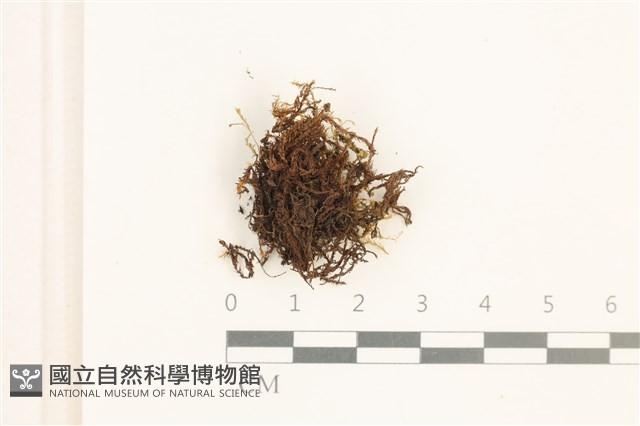 登錄號:B00001732藏品圖，第1張
