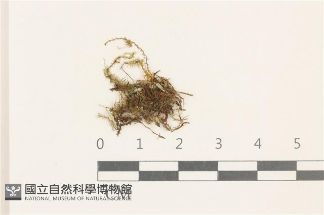 登錄號:B00014652藏品圖，第1張