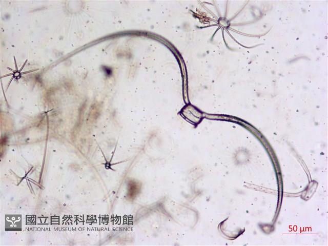 登錄號:A00004652藏品圖，第4張