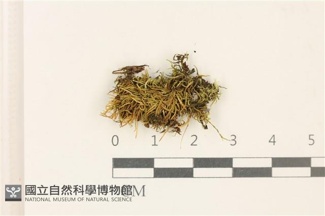 登錄號:B00008252藏品圖，第1張