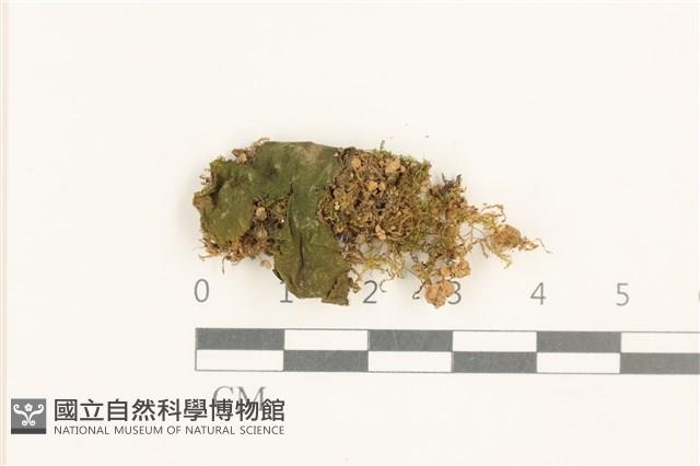 登錄號:B00015152藏品圖，第1張