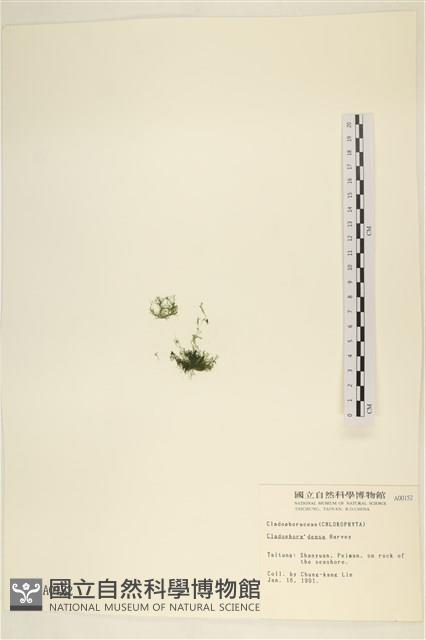 登錄號:A00000152藏品圖，第3張