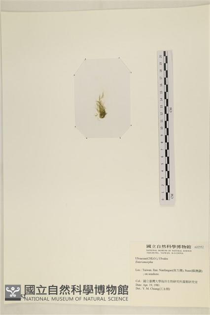 登錄號:A00002552藏品圖，第3張