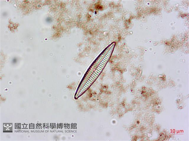 登錄號:A00004552藏品圖，第3張